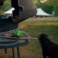 gal/Untitled (Project)/_thb_025.jpg
